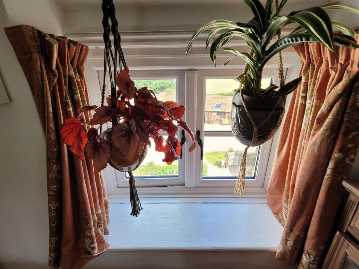 Art House B & B Raglan Dış mekan fotoğraf