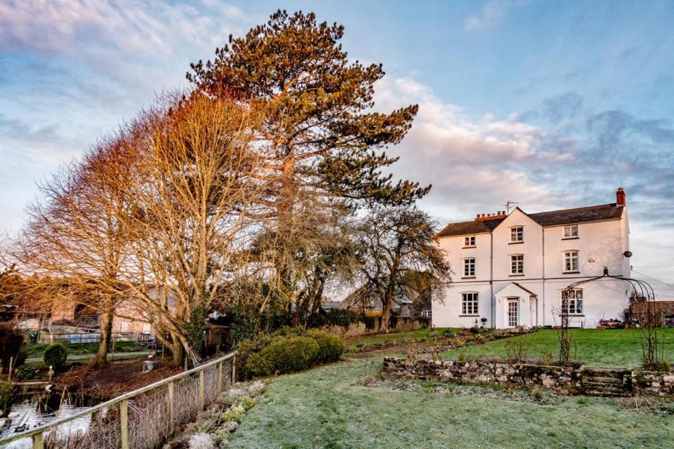 Art House B & B Raglan Dış mekan fotoğraf
