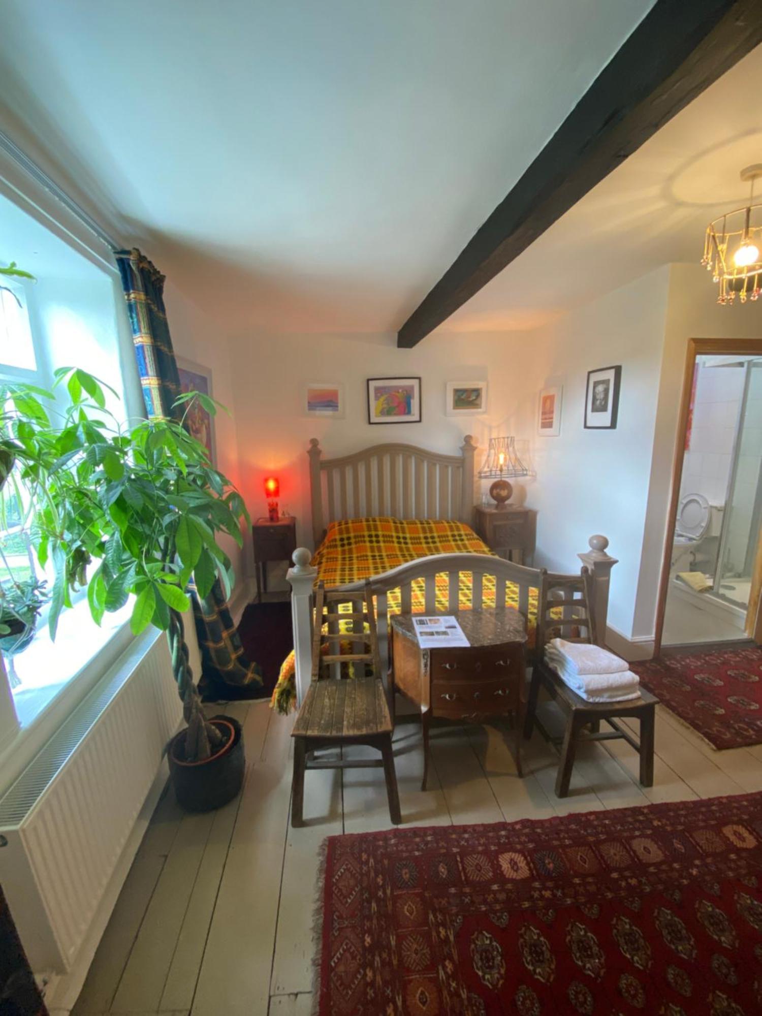 Art House B & B Raglan Oda fotoğraf