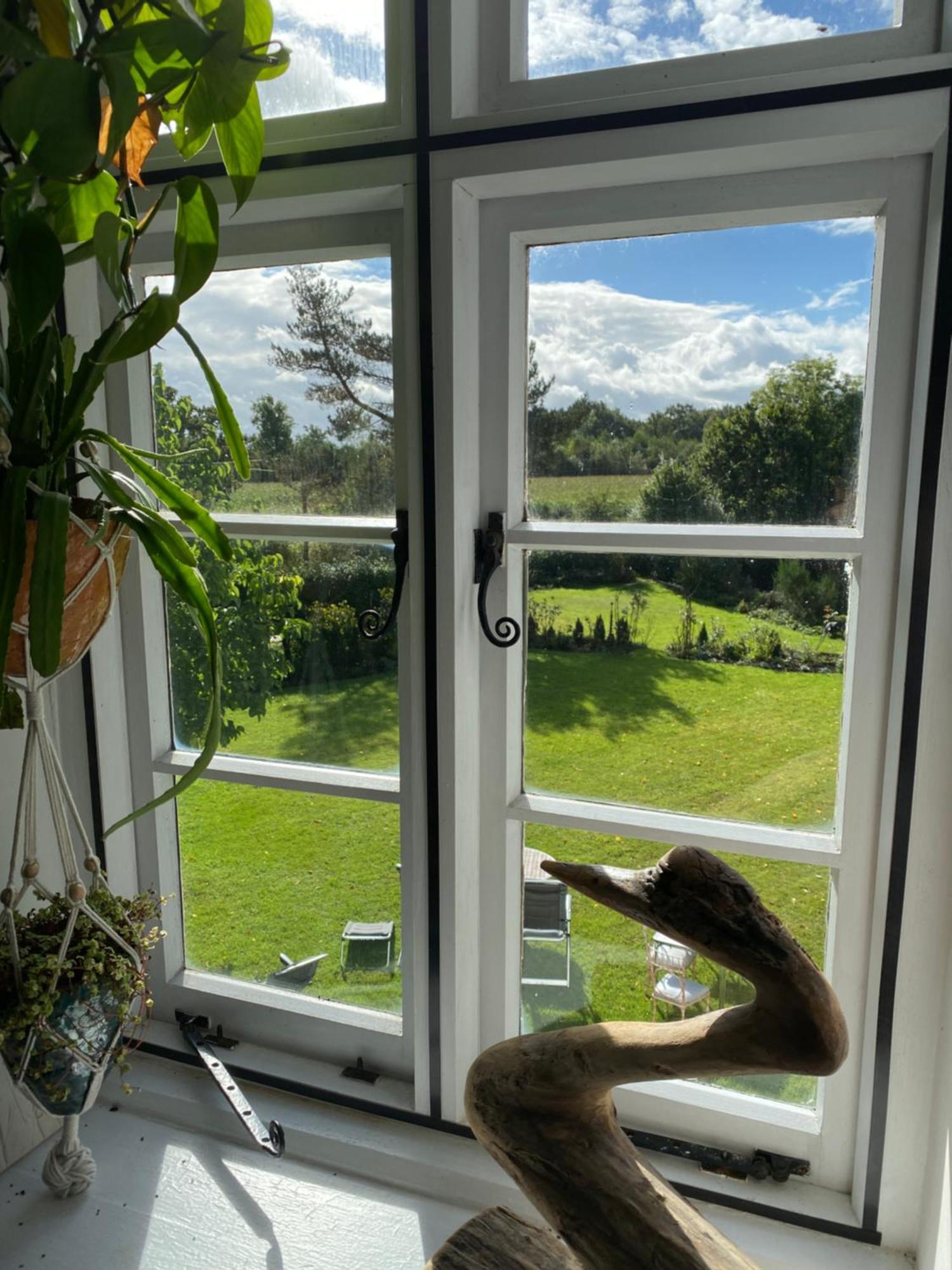 Art House B & B Raglan Oda fotoğraf